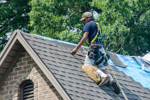 Best Roof Waterproofing Services  in Willow Oak, FL